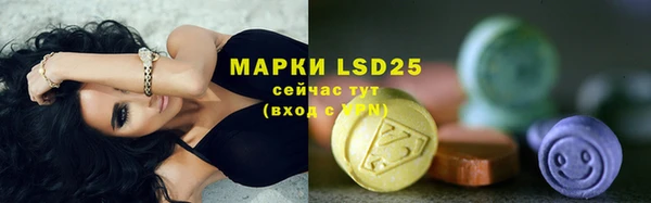 молекула духа Аркадак